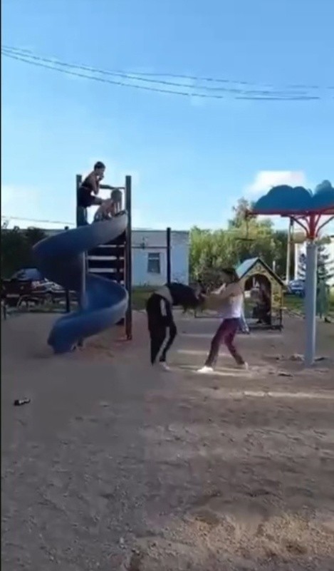 В Тверской области женщина била и таскала ребенка за волосы