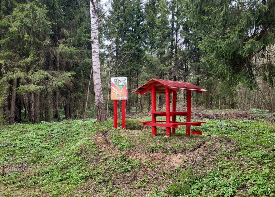 Больше 13 километров лесных дорог построили в Тверской области