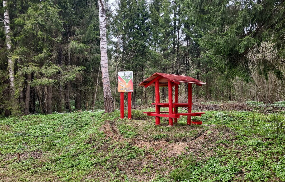 Больше 13 километров лесных дорог построили в Тверской области
