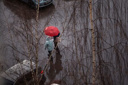 Синоптики рассказали, что дожди в Тверскую область пришли надолго