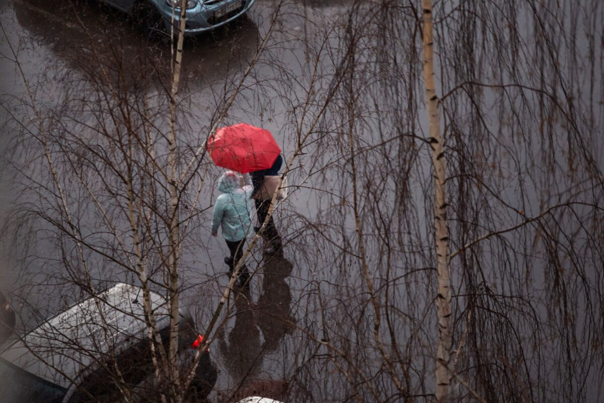 Синоптики рассказали, что дожди в Тверскую область пришли надолго