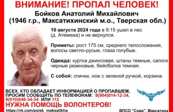 В Тверской области ищут пенсионера, который ушёл в лес и не вернулся