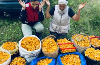 Жители Тверской области установили грибной рекорд