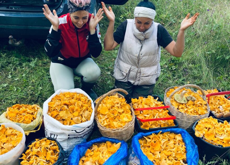 Жители Тверской области установили грибной рекорд