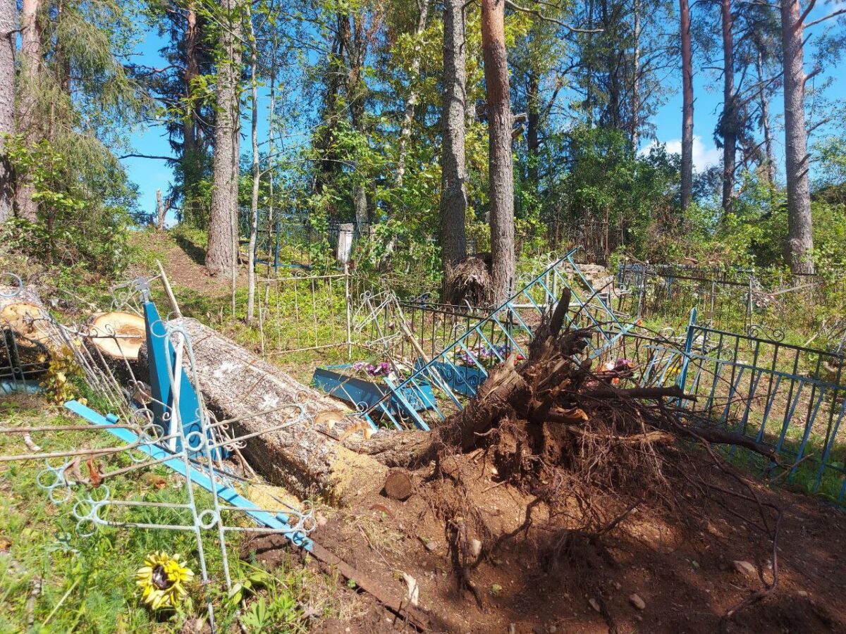 Жители Тверской области своими силами разгребают страшные завалы на кладбище после урагана
