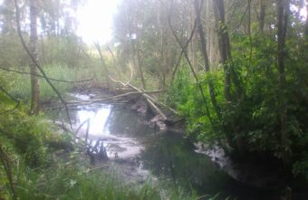 В Тверской области канализационную трубу прорвало в Волгу В Тверской области канализационную трубу прорвало в Волгу
