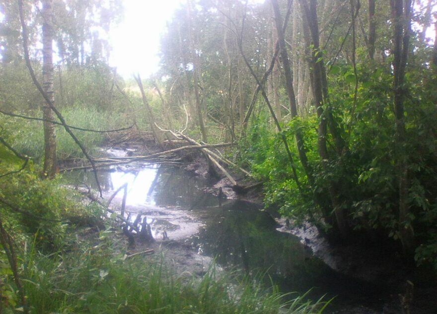 В Тверской области канализационную трубу прорвало в Волгу