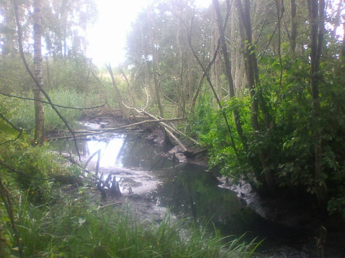 В Тверской области канализационную трубу прорвало в Волгу