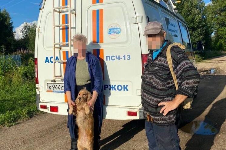 За сутки сотрудники МЧС четыре раза спасали грибников из лесов Тверской области