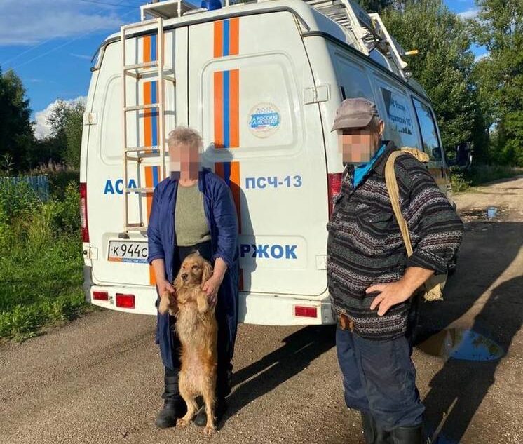 За сутки сотрудники МЧС четыре раза спасали грибников из лесов Тверской области За сутки сотрудники МЧС четыре раза спасали грибников из лесов Тверской области