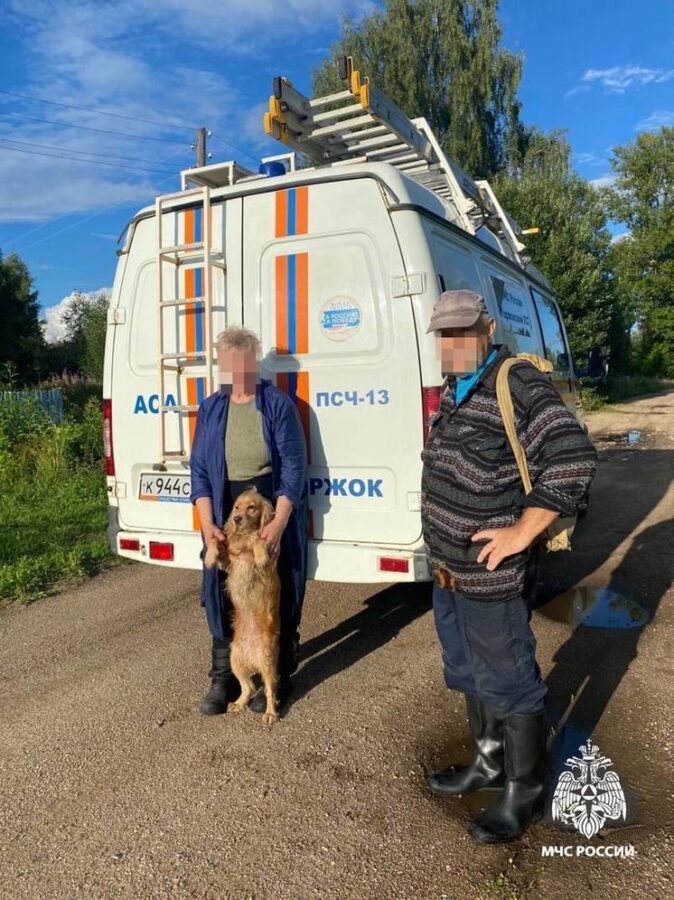 За сутки сотрудники МЧС четыре раза спасали грибников из лесов Тверской области
