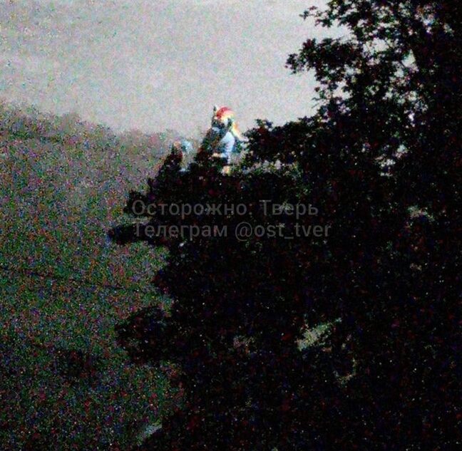 Ночью в Твери подростки перевоплощаются в радужных пони