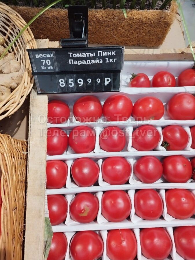 В Твери начали продавать помидоры почти за тысячу рублей