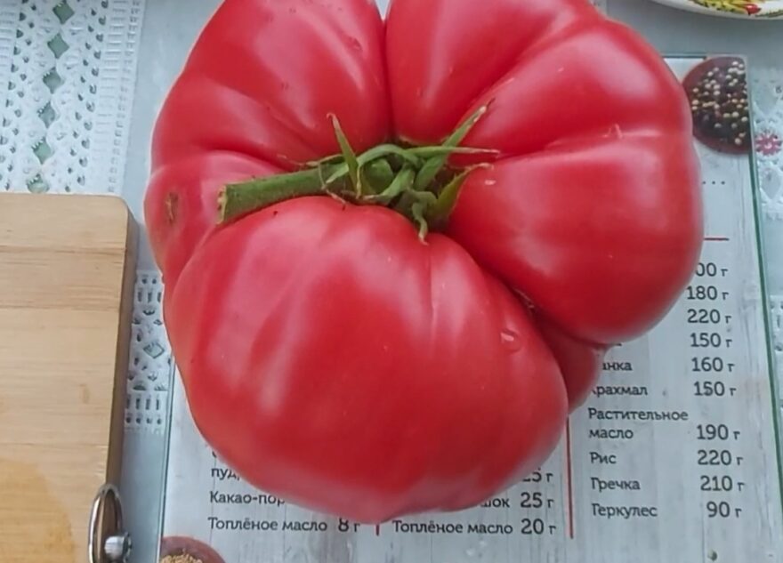 Жители Тверской области соревнуются, у кого урожай лучше