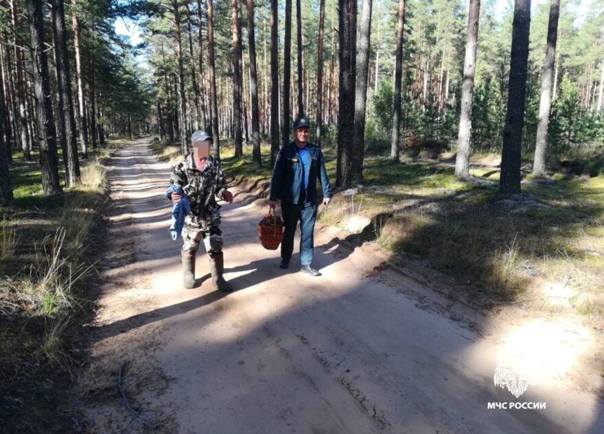 В Тверской области спасатели помогли потерявшемуся грибнику