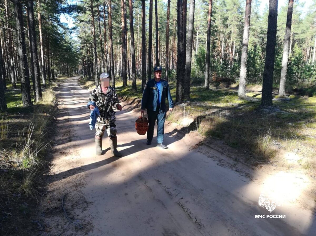 В Тверской области спасатели помогли потерявшемуся грибнику