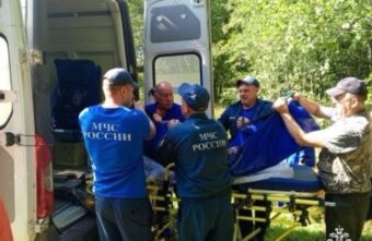 Жительница Тверской области стала жертвой ядовитой змеи в лесу