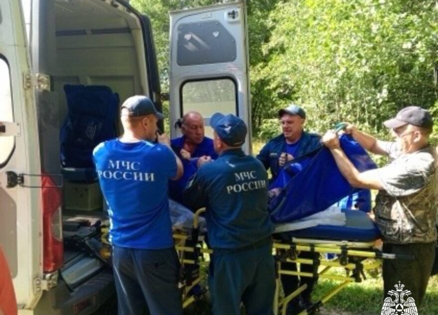 Жительница Тверской области стала жертвой ядовитой змеи в лесу Жительница Тверской области стала жертвой ядовитой змеи в лесу