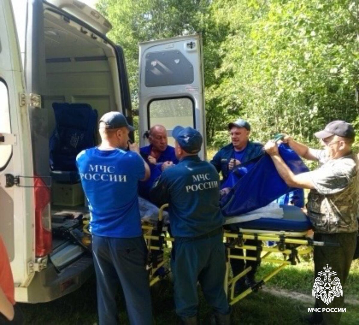 Жительница Тверской области стала жертвой ядовитой змеи в лесу