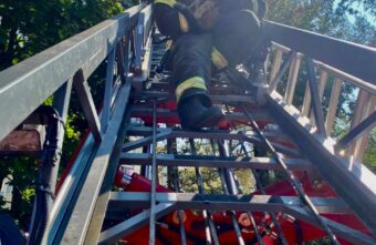 В Тверской области спасатели МЧС сняли с дерева застрявшего кота