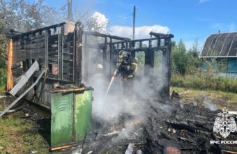 Под Тверью сгорел дотла дачный дом