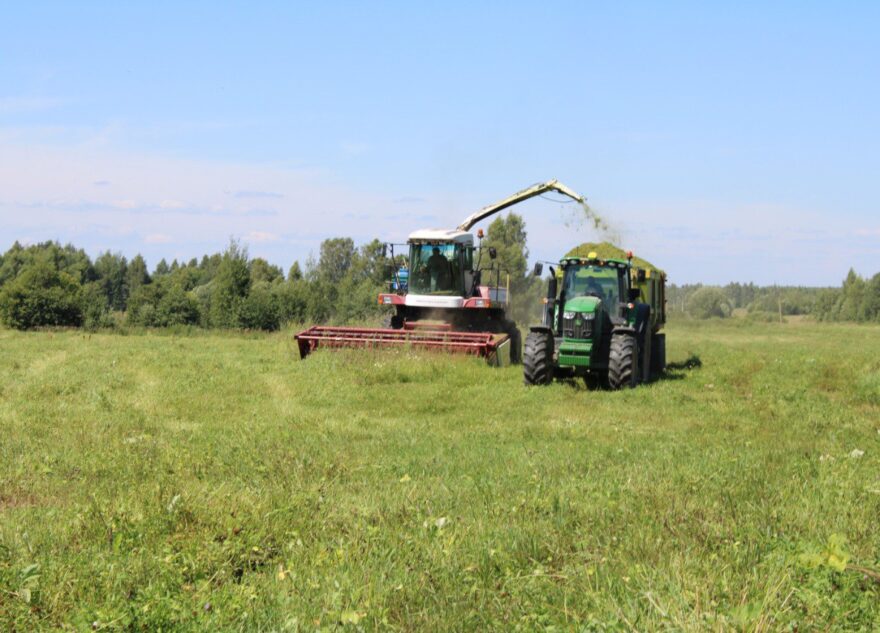 В Тверской области план по заготовке кормов выполнен на 72,5%