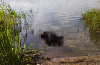 Тело человека нашли в прибрежной зоне реки Донховка в Тверской области