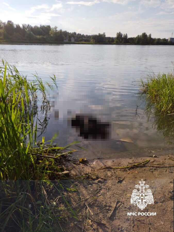 Тело человека нашли в прибрежной зоне реки Донховка в Тверской области