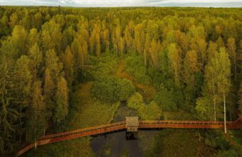 Жители Тверской области могут принять участие в онлайн-курсе, посвящённом развитию туристических троп в России Жители Тверской области могут принять участие в онлайн-курсе, посвящённом развитию туристических троп в России