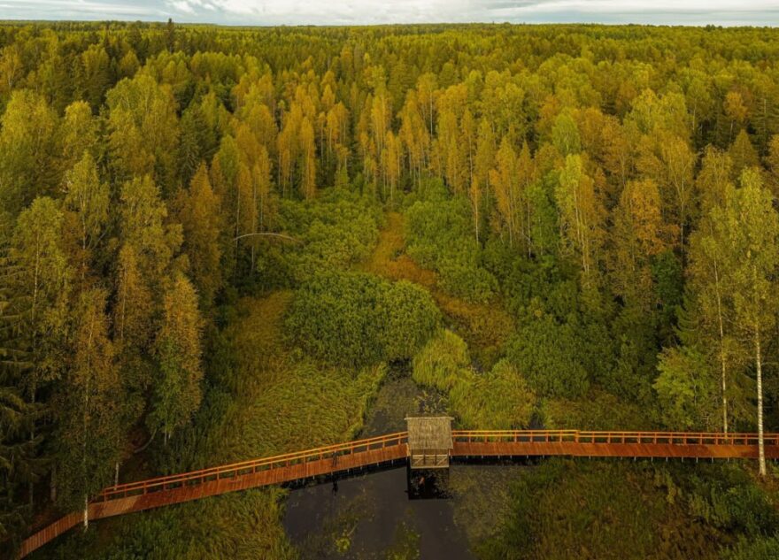 Жители Тверской области могут принять участие в онлайн-курсе, посвящённом развитию туристических троп в России