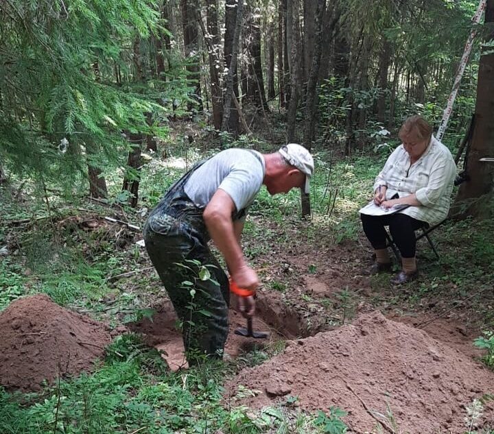 В раскопках в Тверской области археологи собрали уникальную коллекцию артефактов В раскопках в Тверской области археологи собрали уникальную коллекцию артефактов
