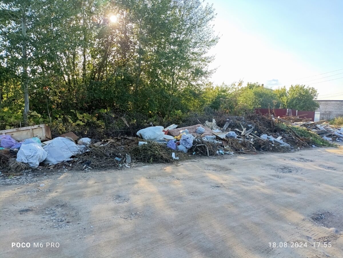 Жители Тверской области превратили район в свалку