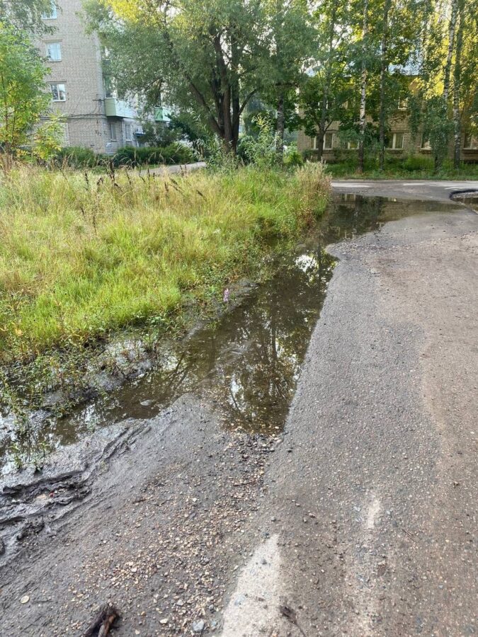 Посреди города в Тверской области образовалось болото