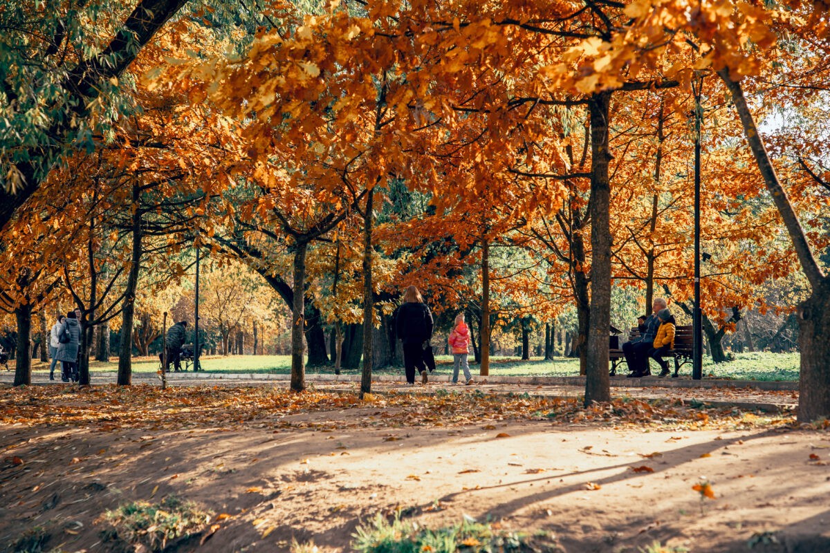 Синоптики пообещали жителям Тверской области идеальный сентябрь