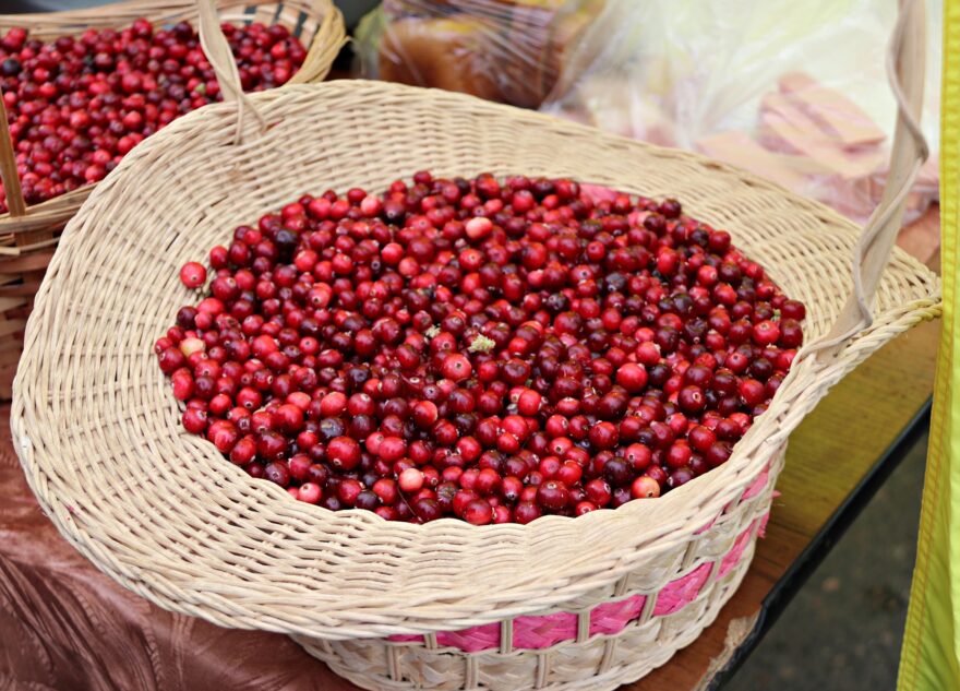 Врач назвал самые полезные для здоровья ягоды