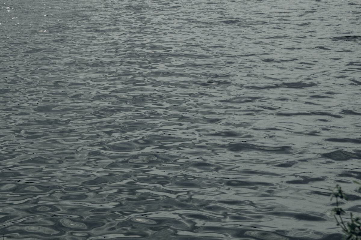 Тело мужчины нашли в реке Инга под Тверью