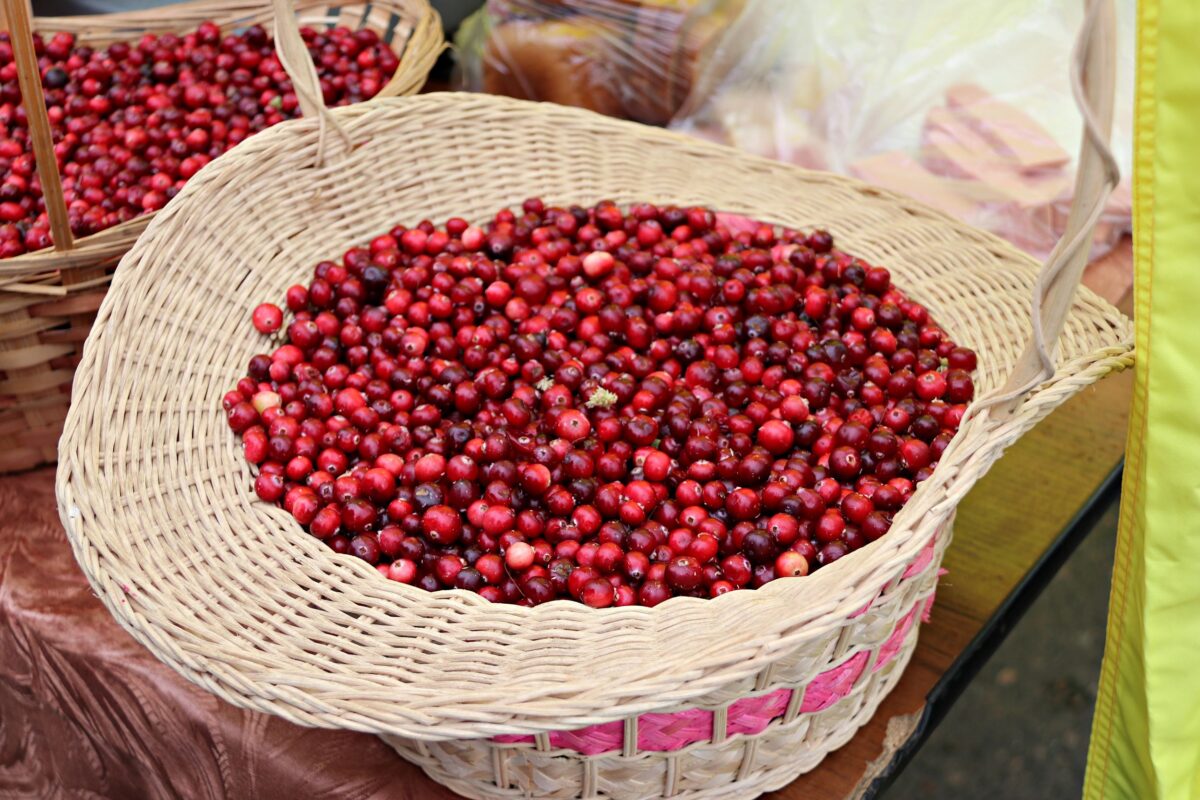 Врач назвал самые полезные для здоровья ягоды