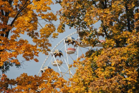 Синоптики рассказали, каким будет сентябрь в Тверской области Синоптики рассказали, каким будет сентябрь в Тверской области