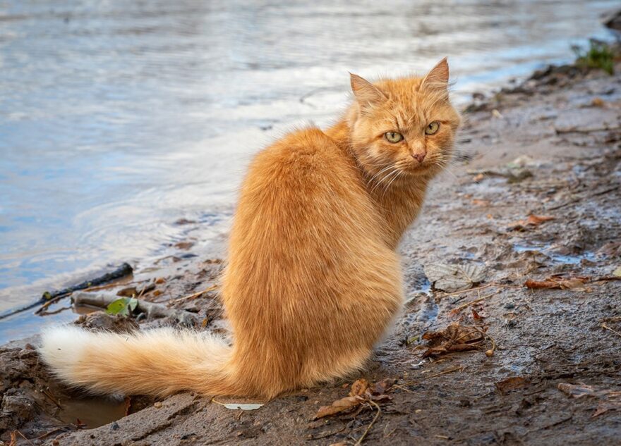 Тверская область прощается с летним теплом