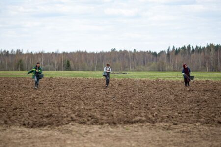 Дачников в России начнут штрафовать за неиспользованные земельные участки