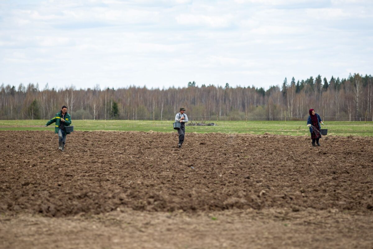 Дачников в России начнут штрафовать за неиспользованные земельные участки