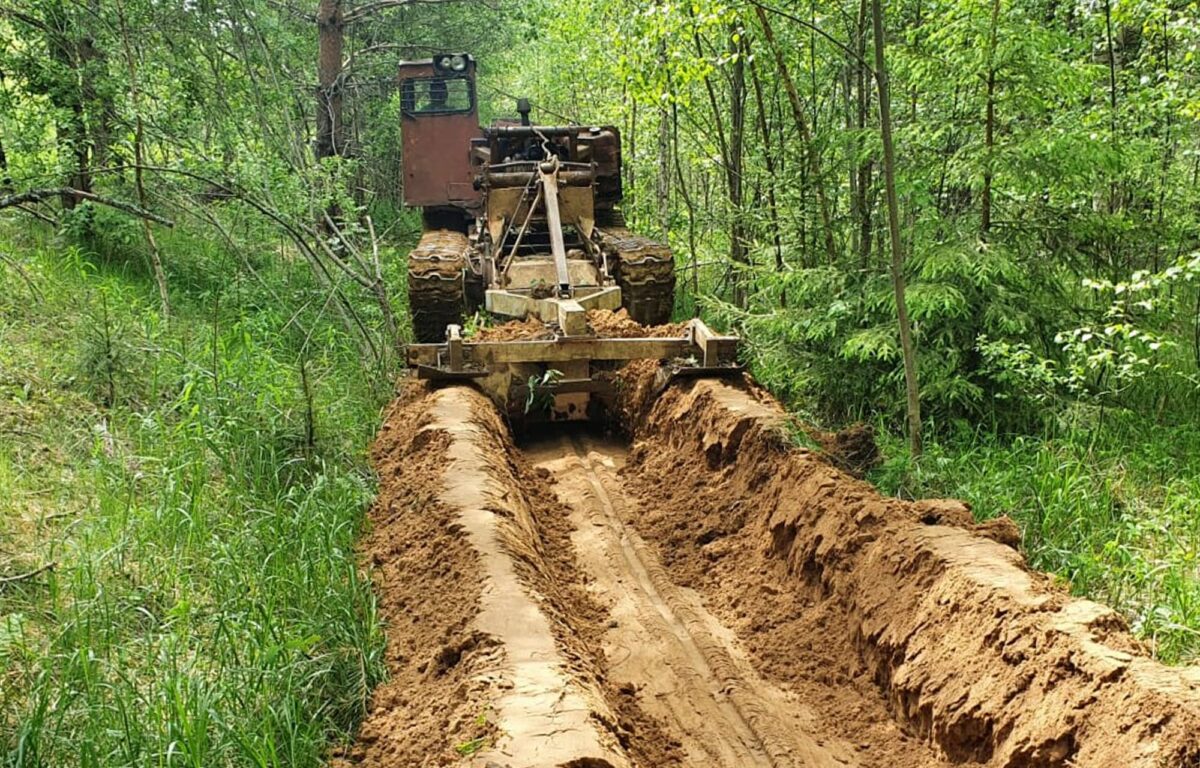 Больше 13 километров лесных дорог построили в Тверской области