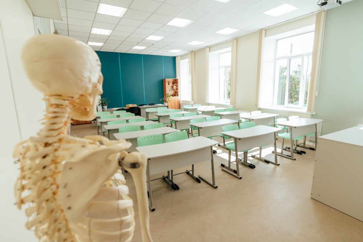 Единая модель профориентации в Тверской области выйдет на новый уровень