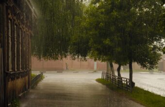 В Тверской области наступило серопогодье В Тверской области наступило серопогодье