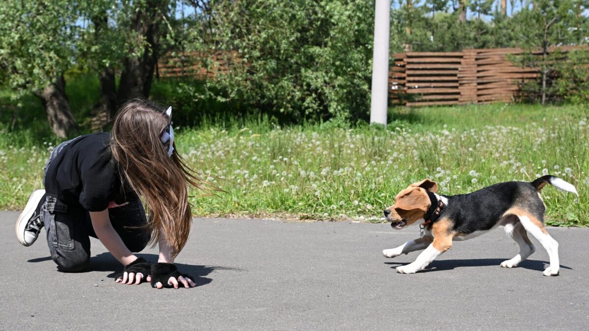 В России могут запретить субкультуру квадроберов
