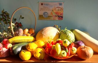 Жители Тверской области собрали больше 3 тонн овощей и фруктов Жители Тверской области собрали больше 3 тонн овощей и фруктов