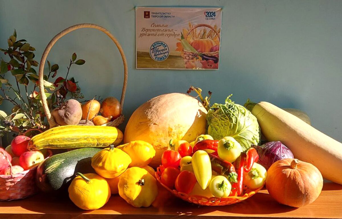 Жители Тверской области собрали больше 3 тонн овощей и фруктов