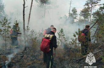 В Калининском округе под Тверью пожарные тушат лесную подстилку В Калининском округе под Тверью пожарные тушат лесную подстилку