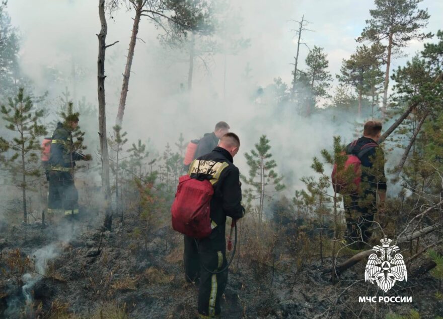 В Калининском округе под Тверью пожарные тушат лесную подстилку В Калининском округе под Тверью пожарные тушат лесную подстилку