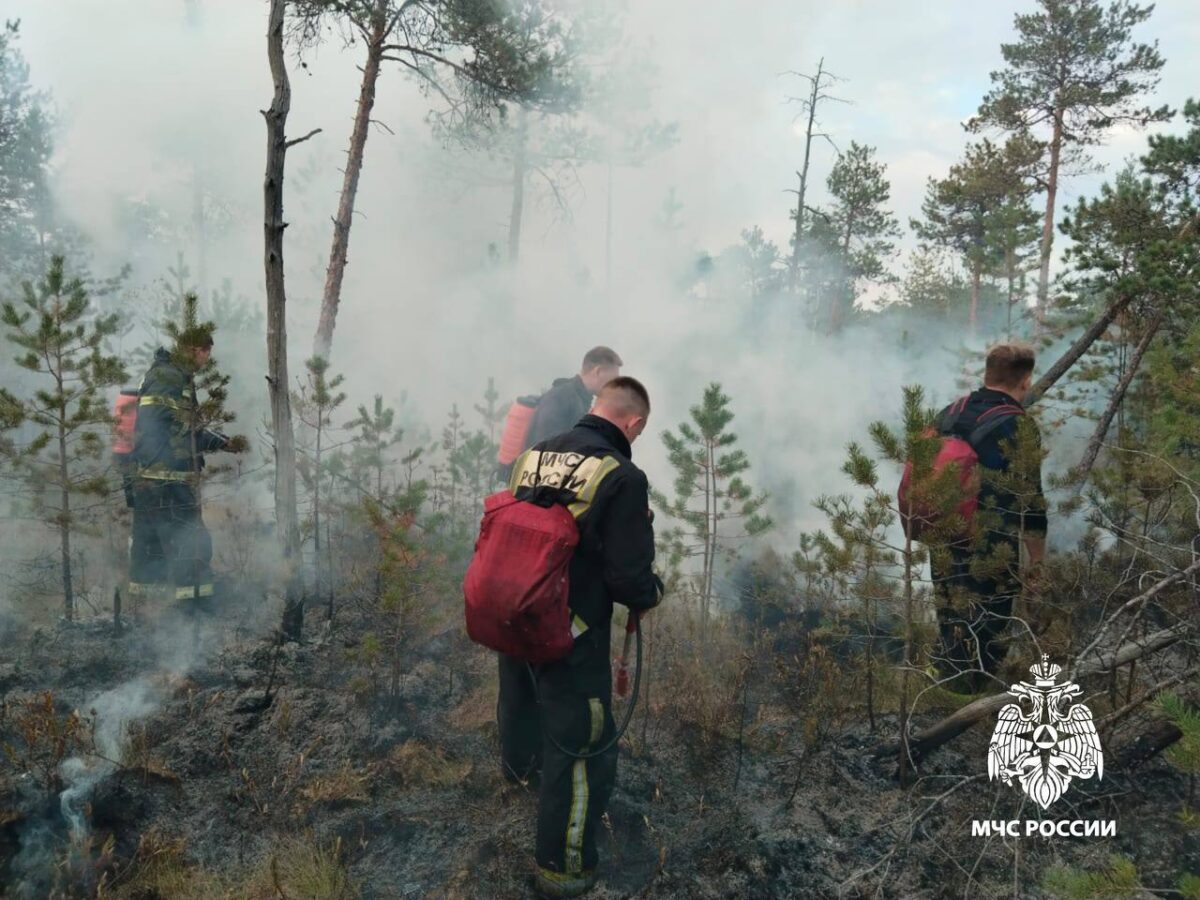В Калининском округе под Тверью пожарные тушат лесную подстилку